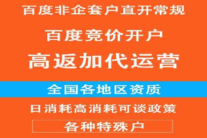 行业领先企业的sem竞价策略：成功案例剖析